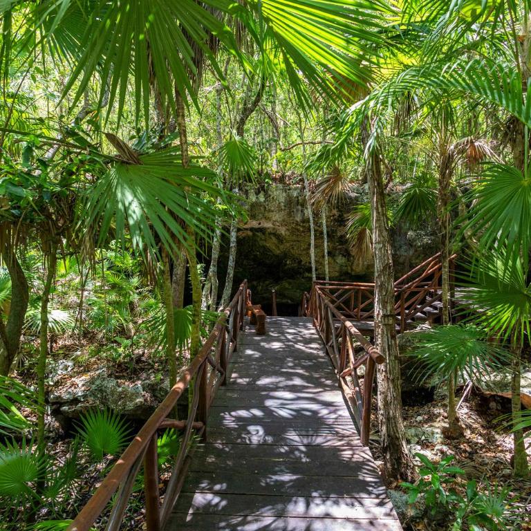 Mayakoba Paradise Pool Jacuzzis & Cenote Access - Ferienhaus - 34