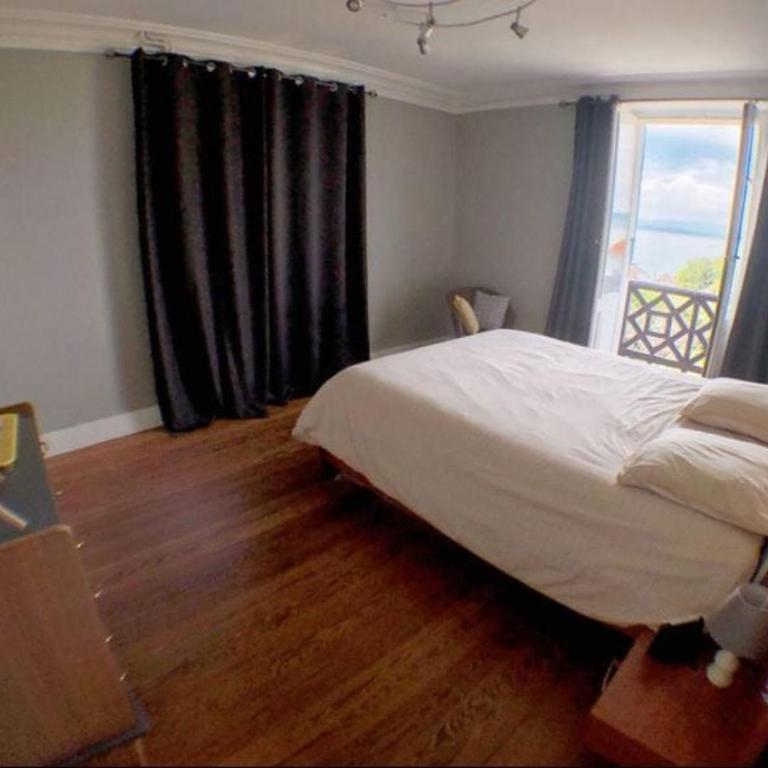 Luxurious Villa, 10 people, 200 m from Lake Geneva - Villa 1 Chambre - 6