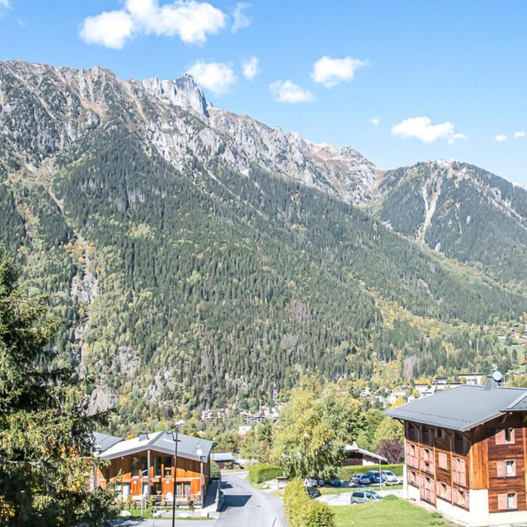 Chalet charmant à Chamonix avec sauna et jardin, animaux admis - FR-1-343-232 - Chalet mit 3 Schlafzimmern - 20