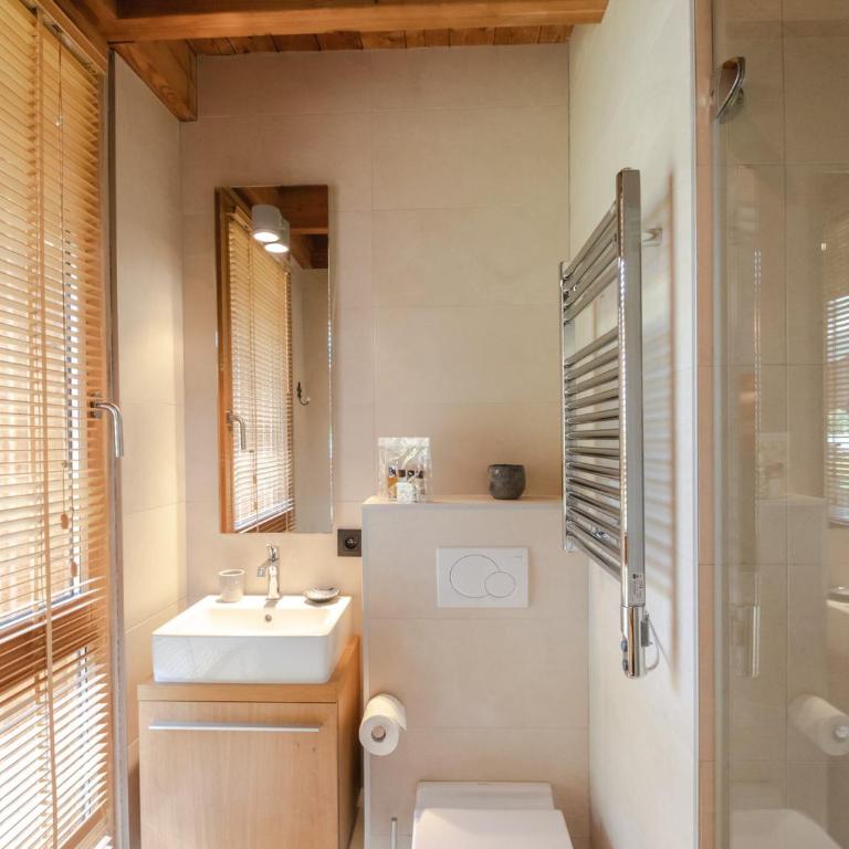 Chalet contemporain 3* proche pistes, 6 chambres pour 12 personnes - FR-1-343-179 - Three-Bedroom Chalet - 20