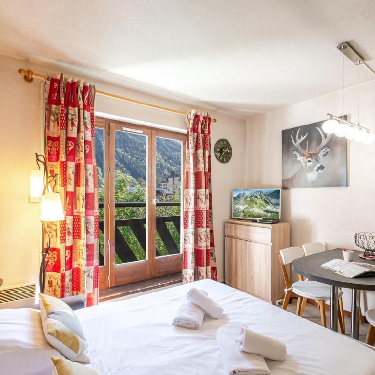 Studio charmant avec vue Mont-Blanc, Wifi et animaux acceptés - FR-1-343-221 - Studio - 15