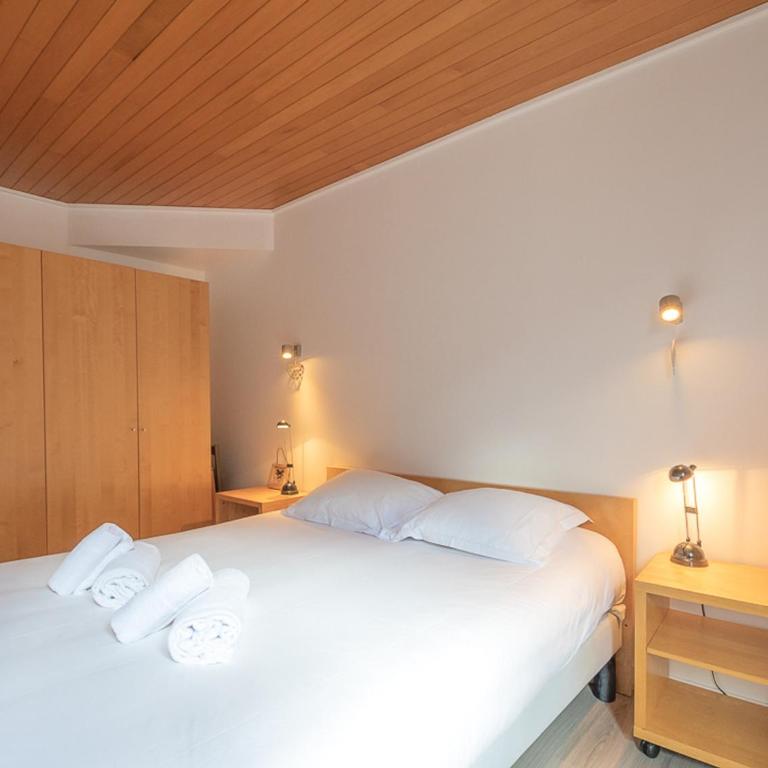 Appartement lumineux 5 pers, Chamonix centre, parking inclus - FR-1-343-202 - Apartment mit 2 Schlafzimmern - 13