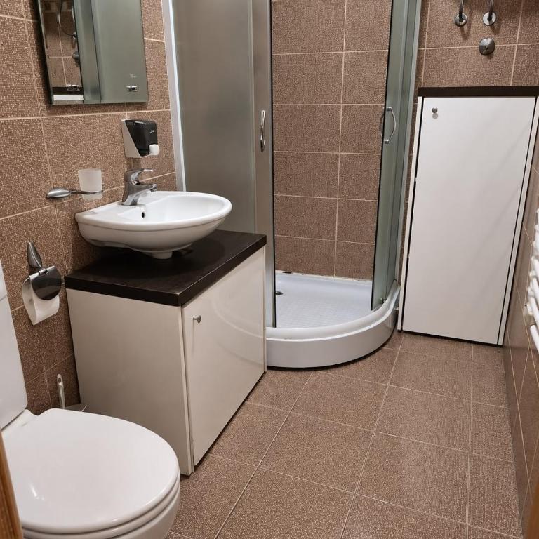 Apartmani DEA Zoned Kopaonik - Apartman sa 1 Spavaćom Sobom - 1