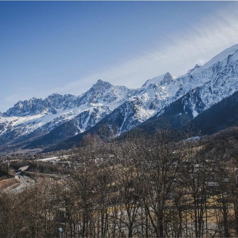 Appartement moderne aux Houches, proche des pistes - FR-1-343-263 - Appartement 2 Chambres - 17
