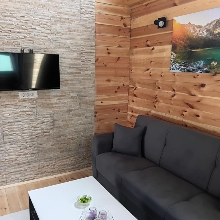 Mountain peace Žabljak - Apartman sa 1 Spavaćom Sobom - 4