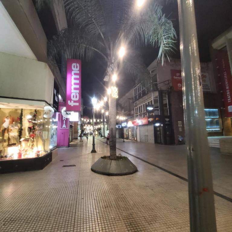 Paseo del Teatro - Peatonal San Martin - Seguridad Privada 24hs - Apartamento de 2 dormitorios - 26