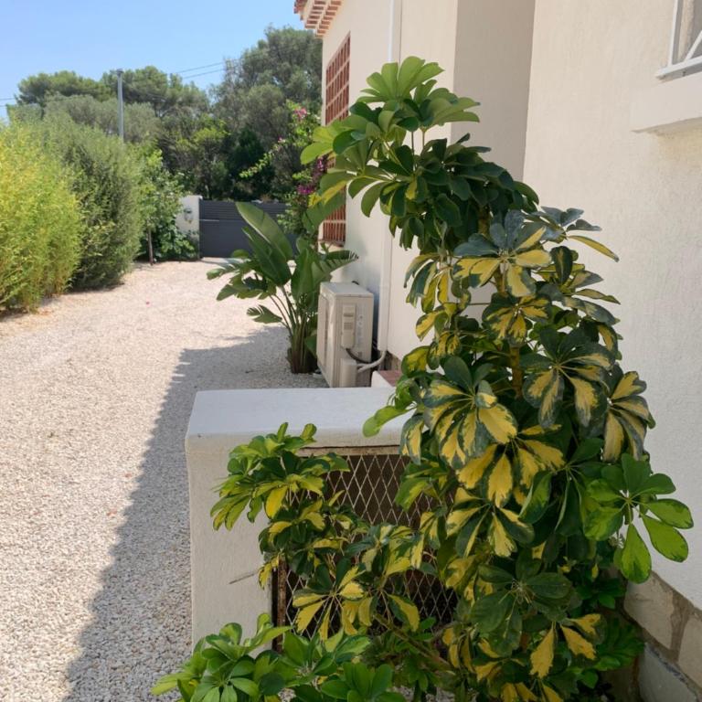 Jolie maison proche plage et port - Villa 1 Chambre - 14