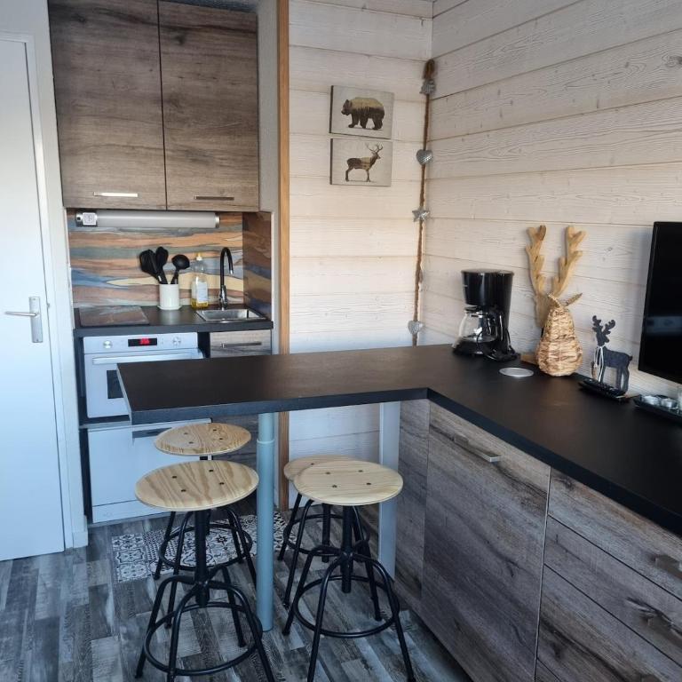 Studio pour 4 personnes Puy-Saint-Vincent - Apartamento de 2 dormitorios - 4