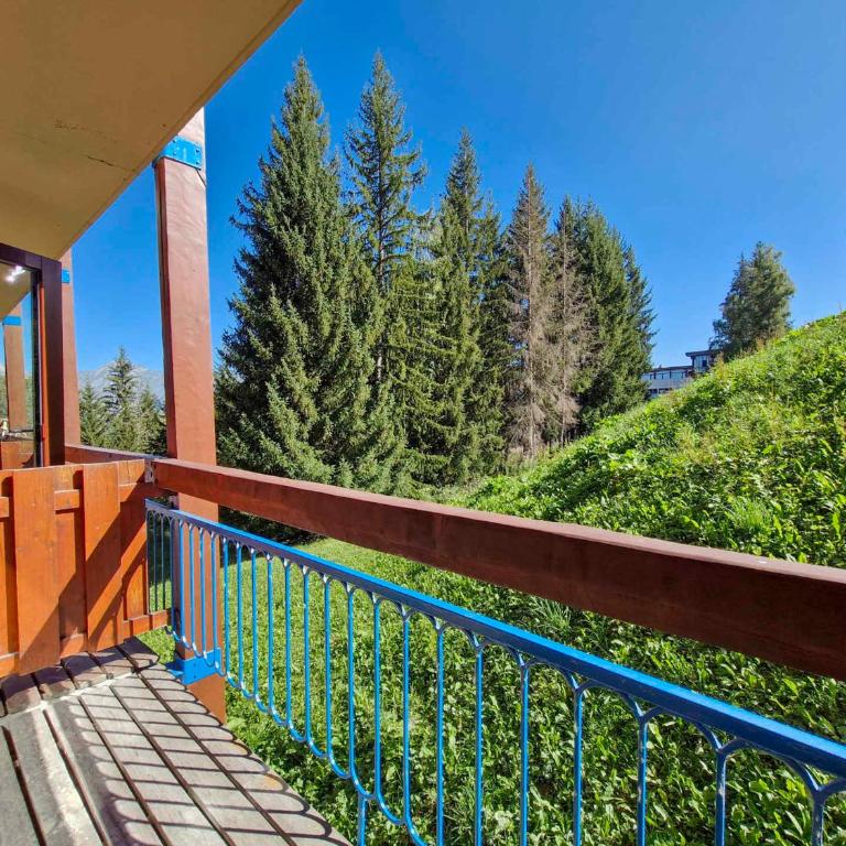 Studio rénové Arc 1800, proche pistes, animaux acceptés - FR-1-411-94 - Studio - 12