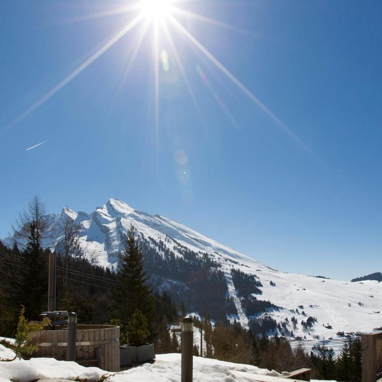 Chalet 5 chambres, Sauna, Bain Norvégien, Wifi, 12 pers. à La Clusaz - Chalet 3 Chambres - 19