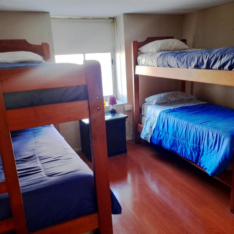 Hostal Chile Chico - Cama en habitación compartida con 4 camas - 1
