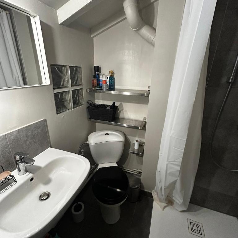 Studio cosy sous les toits - Appartement 2 Chambres - 12