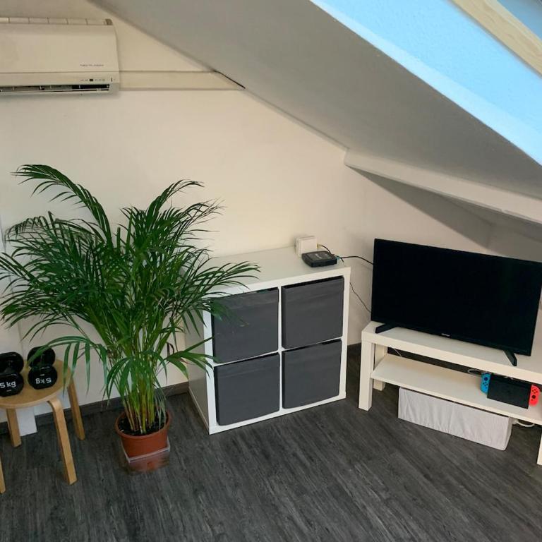 Studio cosy sous les toits - Appartement 2 Chambres - 5