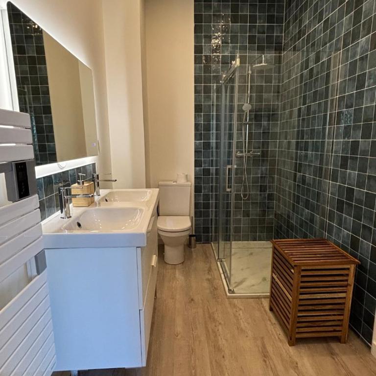 Charmant appartement refait à neuf vue sur Loire - Appartement 1 Chambre - 3