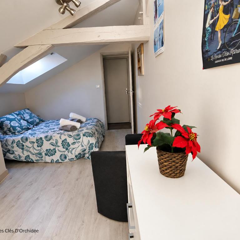 L'Atypique Saumurois - Appartement 2 Chambres - 9