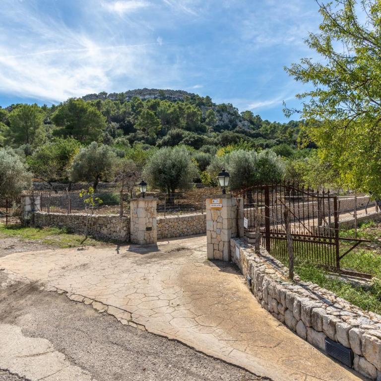 Can Miquel Morro - Villa - 41