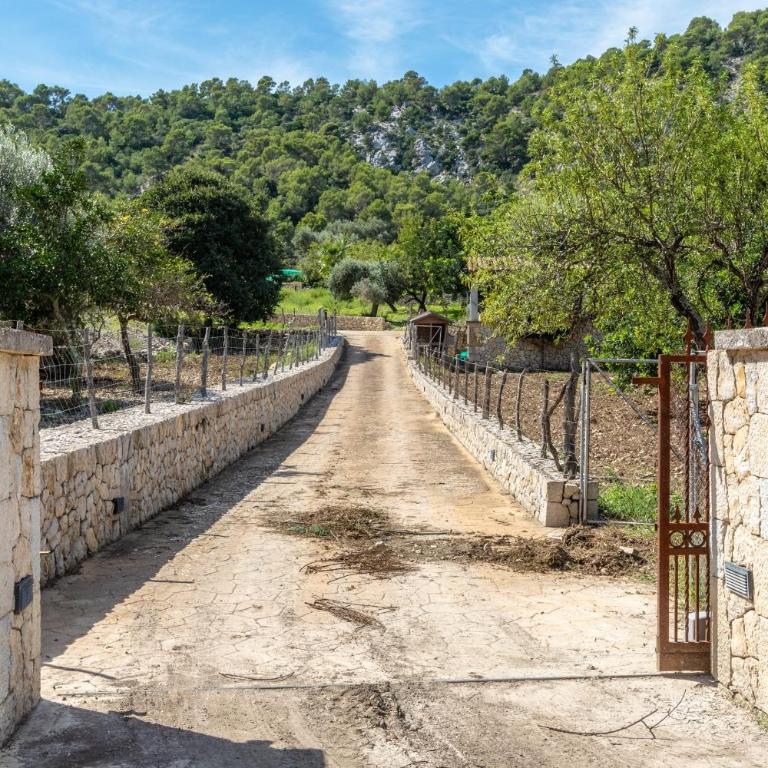 Can Miquel Morro - Villa - 40