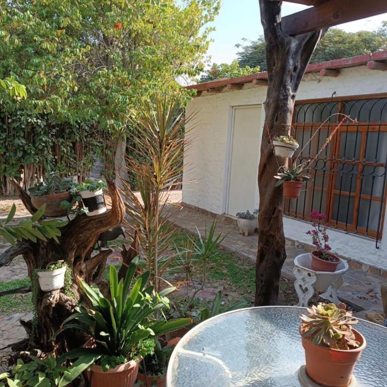 Posada soledad - One-Bedroom Apartment - 1