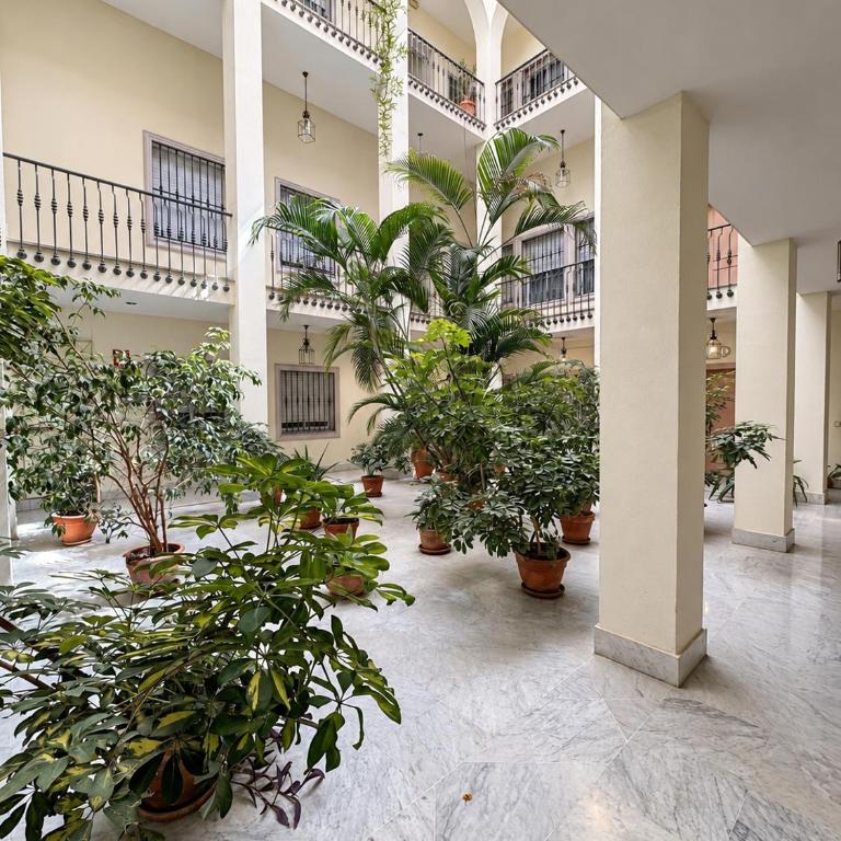 DreamsApt San Vicente - Apartamento de 1 dormitorio - 21