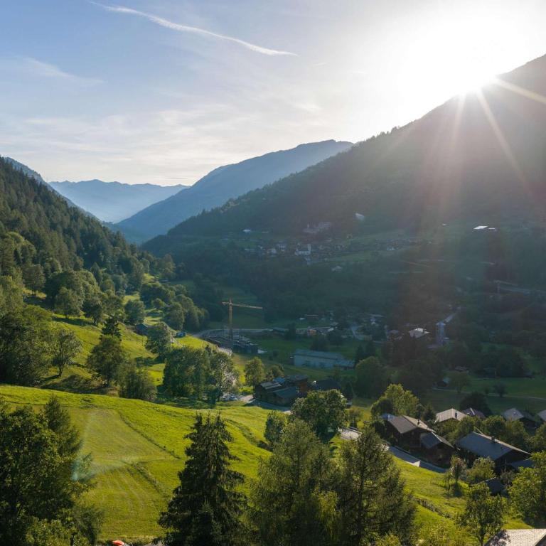 Alpine Duplex near Aletsch with Views & Parking - Apartment - 30