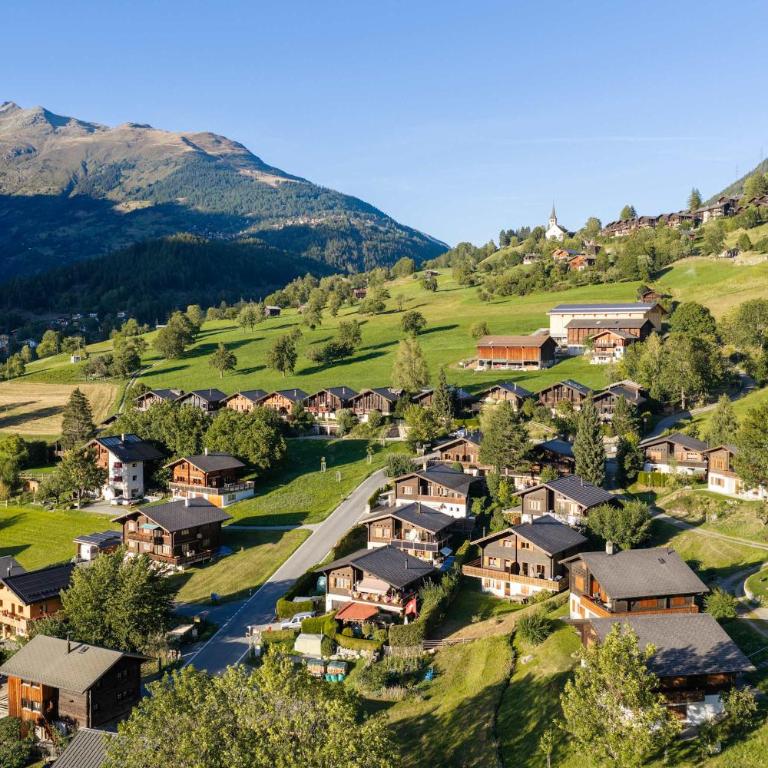 Alpine Duplex near Aletsch with Views & Parking - Apartment - 27