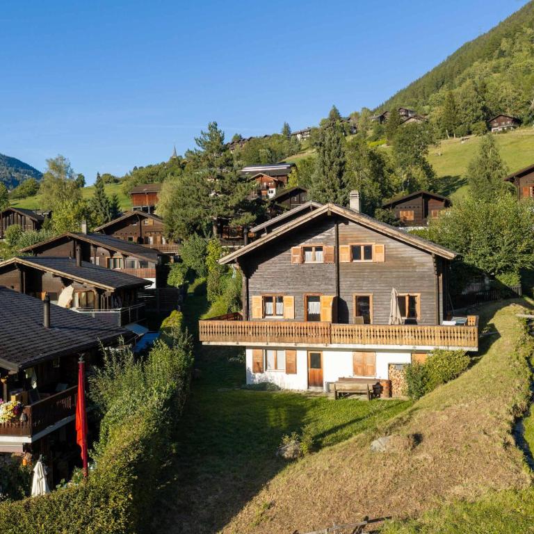Alpine Duplex near Aletsch with Views & Parking - Apartment - 28