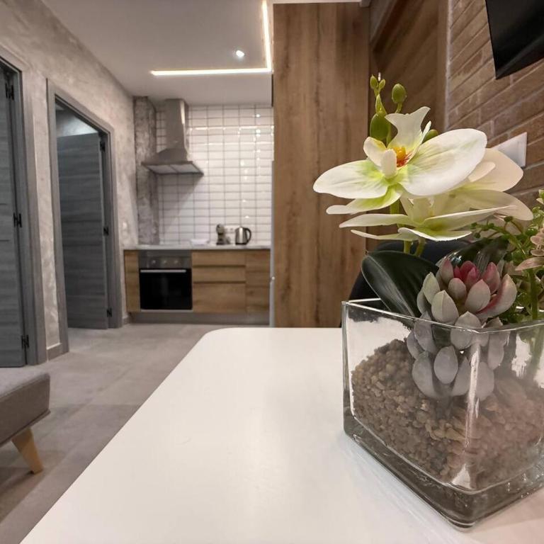 Apartamento de temporada - Benidorm JL A - B - Appartamento Deluxe con 1 Camera da Letto - 3