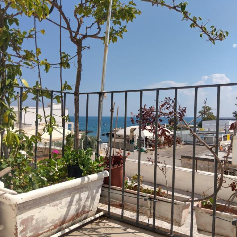 Argento Mare - One-Bedroom Apartment - 31