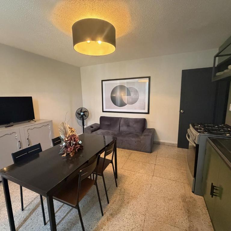 Comfortable One Bedroom Apartment Casa Icacos # 0 - Appartement 1 Chambre - 2