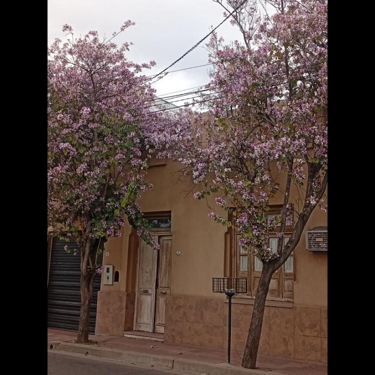 Las Marias - Three-Bedroom House - 19