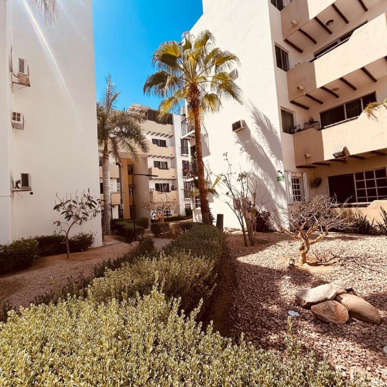 Cabo Getaway Pool Beach 2 Bedrooms - Apartamento de 3 dormitorios - 28