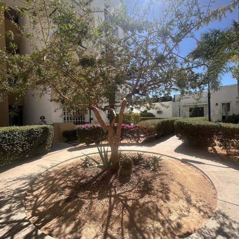 Cabo Getaway Pool Beach 2 Bedrooms - Apartamento de 3 dormitorios - 43