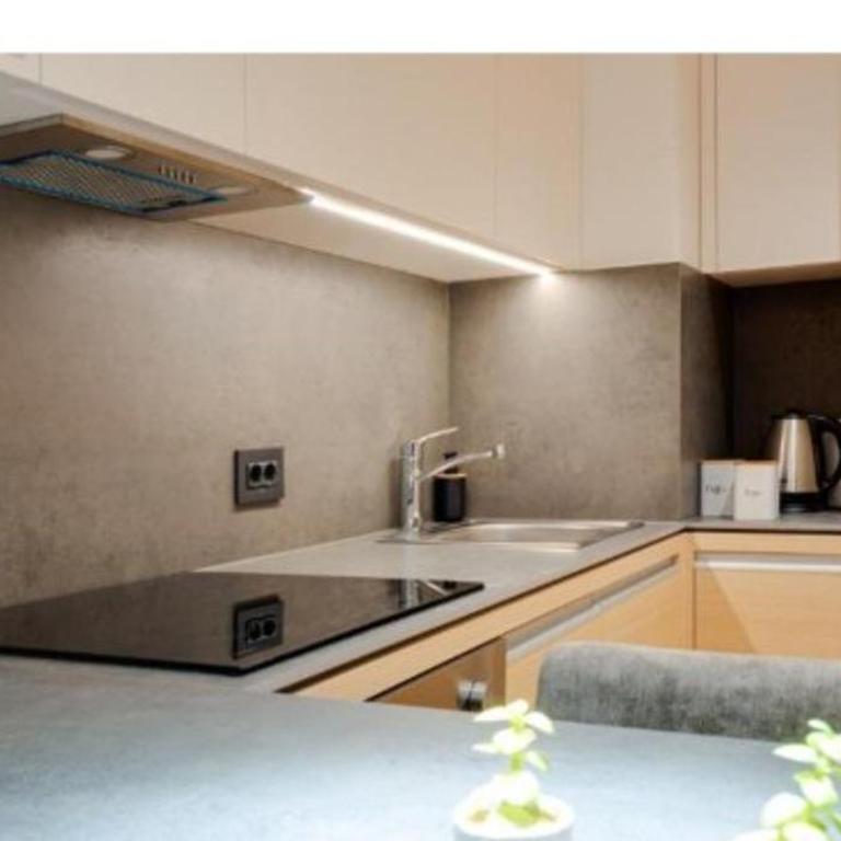 Apartman Vrnjačka Banja - Apartman sa 1 Spavaćom Sobom - 9