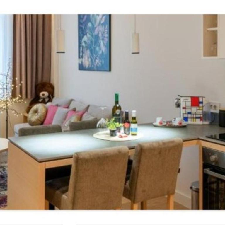 Apartman Vrnjačka Banja - Apartman sa 1 Spavaćom Sobom - 14