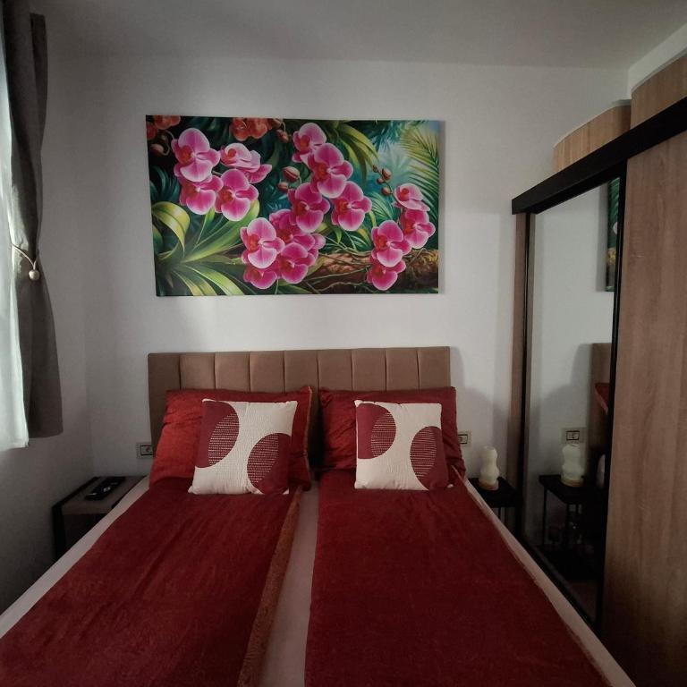 Apartman Cataleya Zlatibor - Appartement 1 Chambre - 11