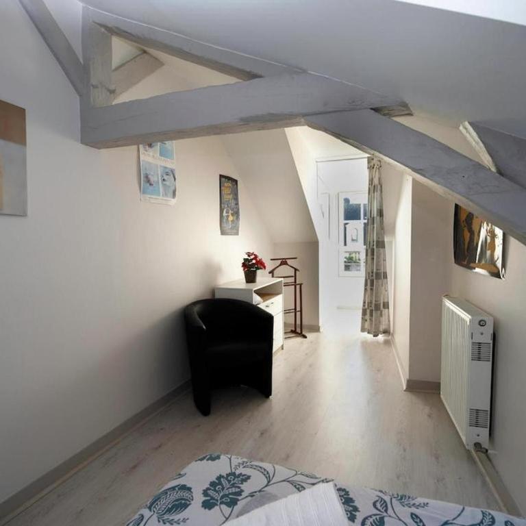 L'Atypique Saumurois - Appartement 2 Chambres - 36
