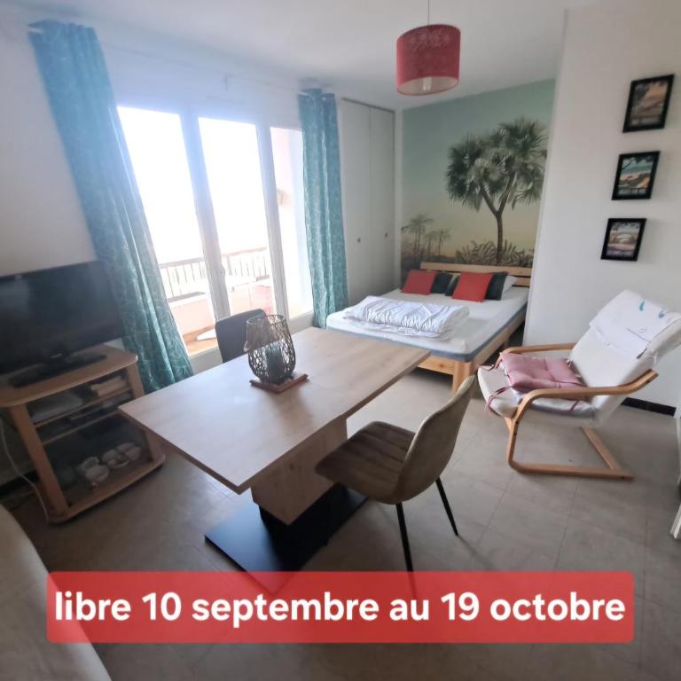 50m des cures accès direct par ascenseur joli studio Gaëlle grand balcon vue dégagée libre jusqu'au 19 octobre - Appartement 1 Chambre - 3
