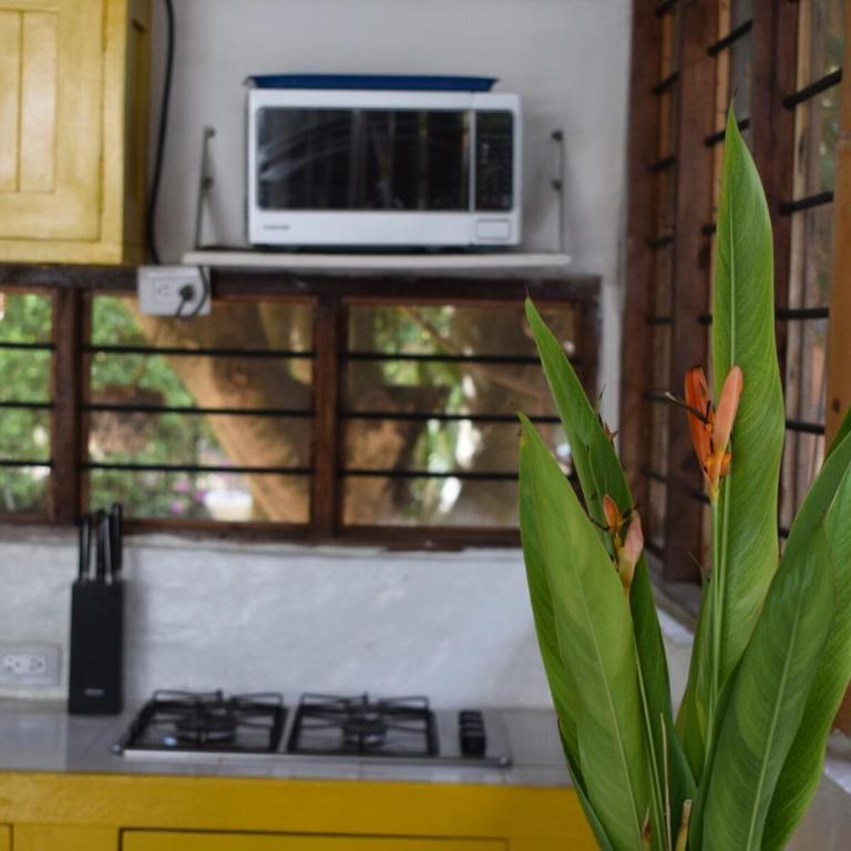 Nuki Casa Roja - Villa de 1 dormitorio - 8