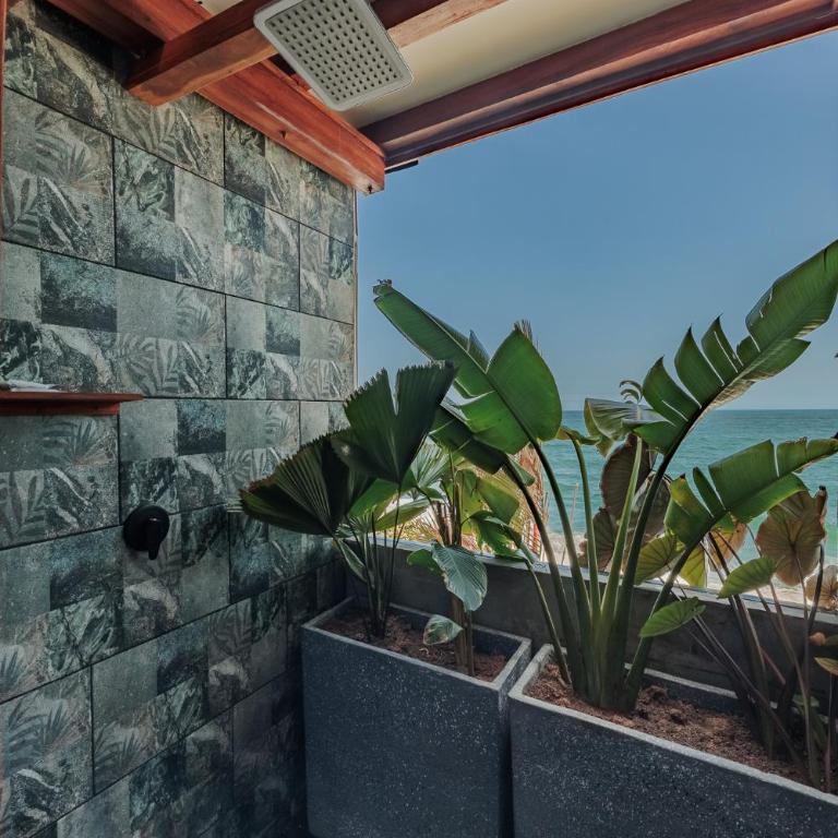 Jaguar Beachfront Ecohotel & Spa - Superior Suite with Sea View - 17