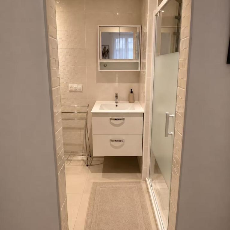 Le Palais de la Presqu'île Very central Lyon - Apartamento de 3 dormitorios - 15