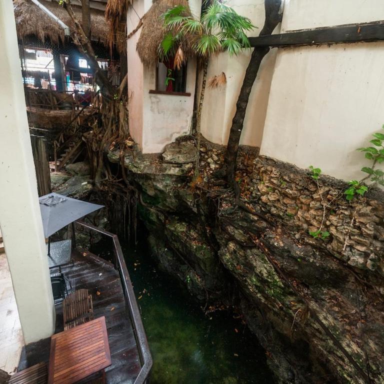 Hidden Cenote Sanctuary Sacbe - 2BR on 5th Ave - Apartment - 14