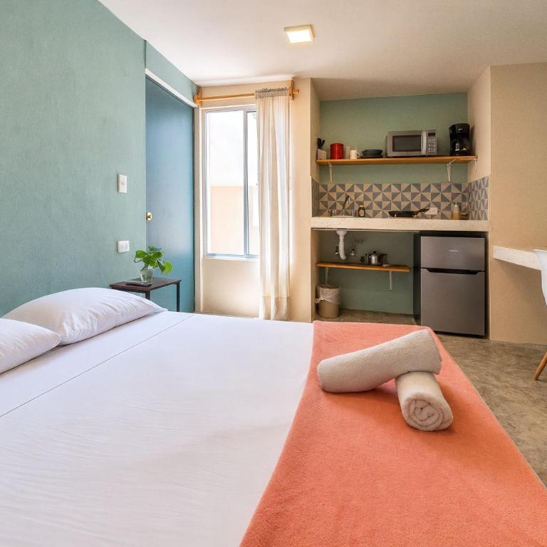 Labná 57 - Apartamento Estándar de 1 dormitorio - 16