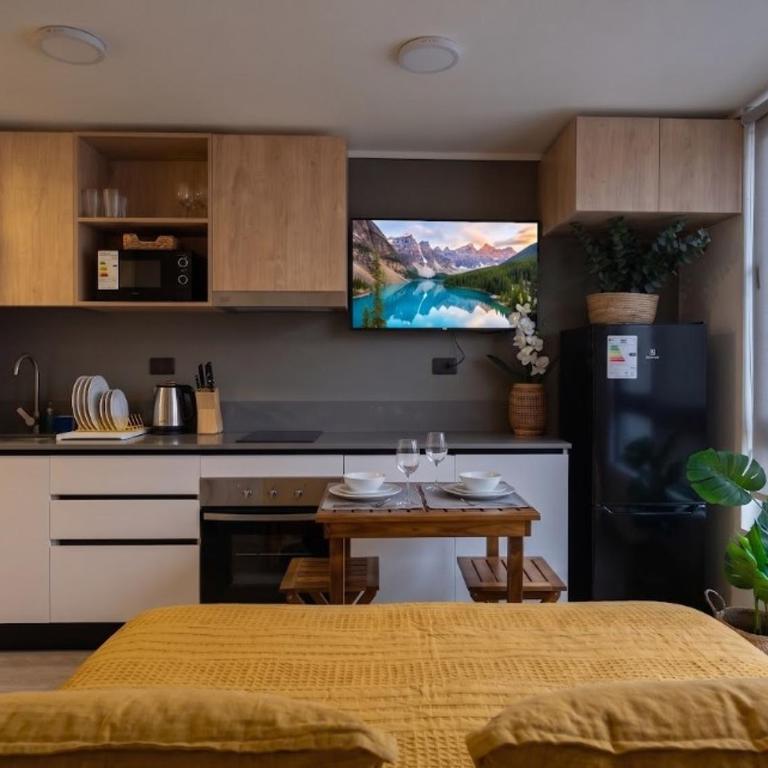 Santiago Centro I 1D1B I Hospitales - One-Bedroom Apartment - 3