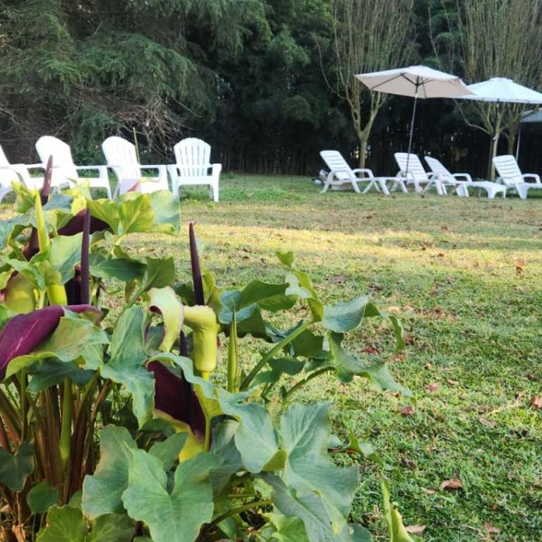 Fuegos del Parana - Casa de 4 dormitorios - 39