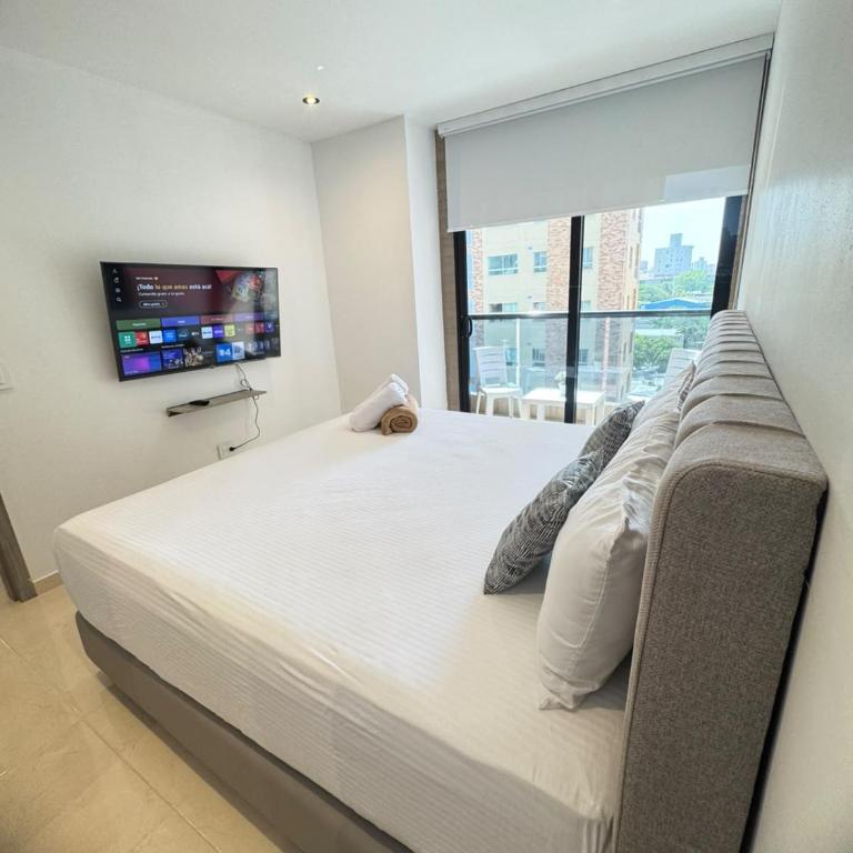 Apartasuites Shanty - Apartamento de 2 dormitorios - 24