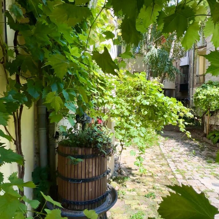 Q-Art Hidden Garden City Centre Free Parking - Apartment mit 2 Schlafzimmern - 20