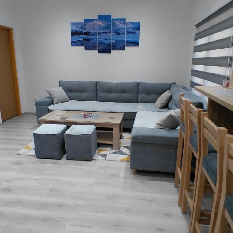 Villa Strahinja Lux Jahorina - Apartman sa 2 Spavaće Sobe - 27
