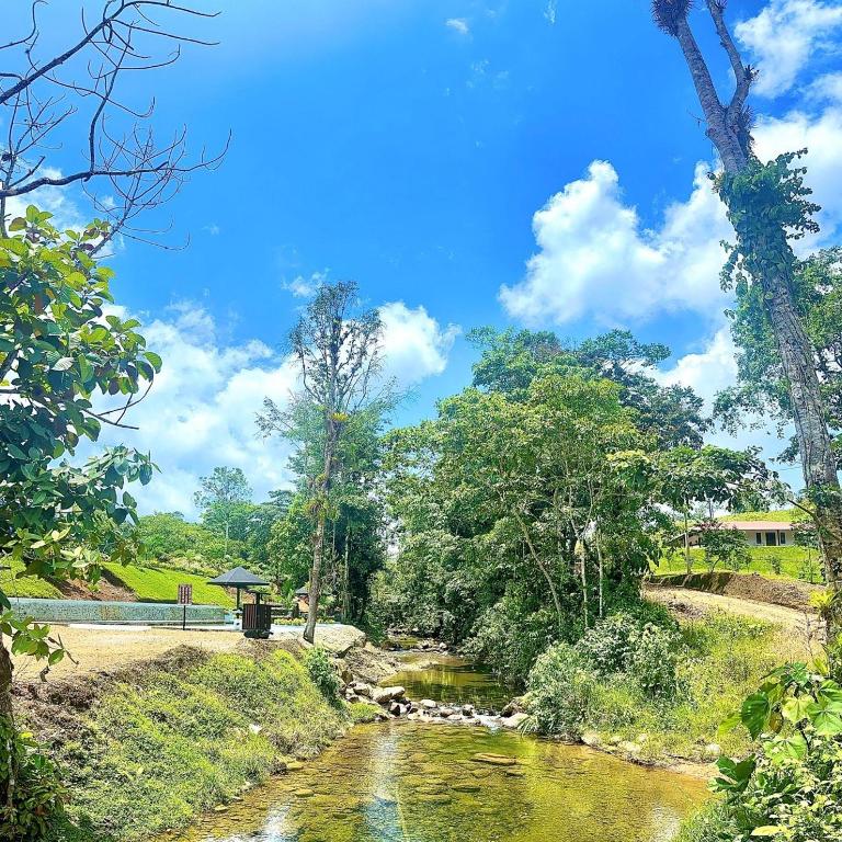 Gaia River House, Piscinas, Rios en Pedro Vicente Maldonado cerca de Quito - Casa de 2 dormitorios - 20