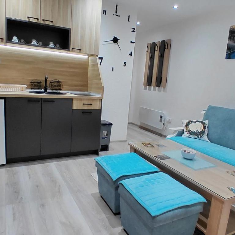 Villa Strahinja Lux Jahorina - Apartman sa 1 Spavaćom Sobom - 9