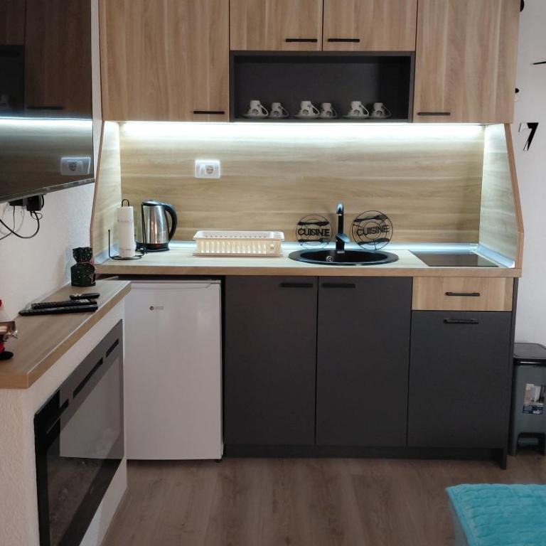 Villa Strahinja Lux Jahorina - Apartman sa 1 Spavaćom Sobom - 5